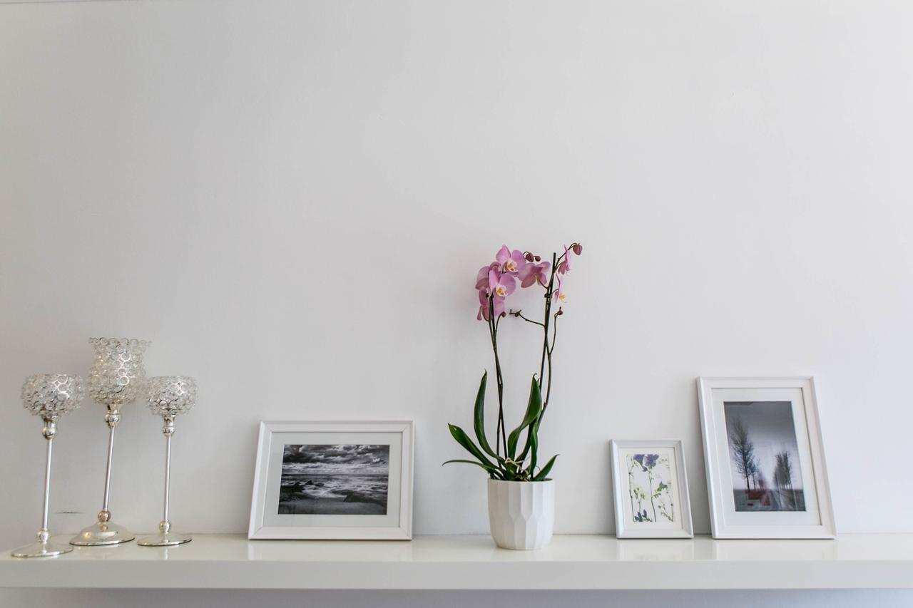 Bed and Breakfast Hayes Bank Ashford  Exteriér fotografie