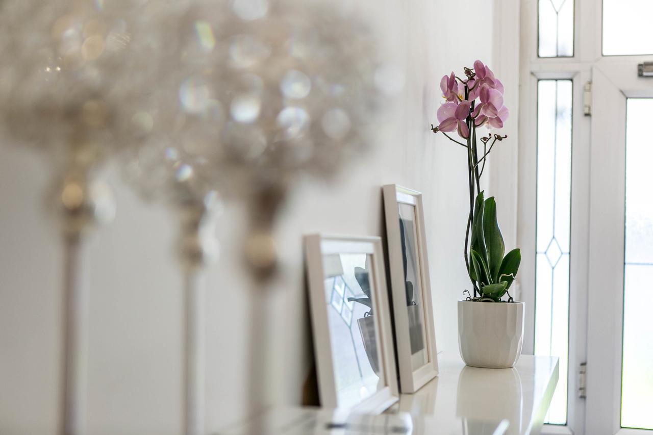 Bed and Breakfast Hayes Bank Ashford  Exteriér fotografie